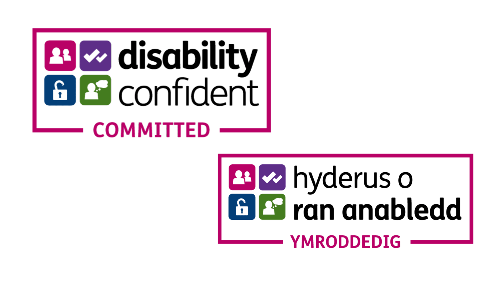 Disability Confident for Jobs Page Website