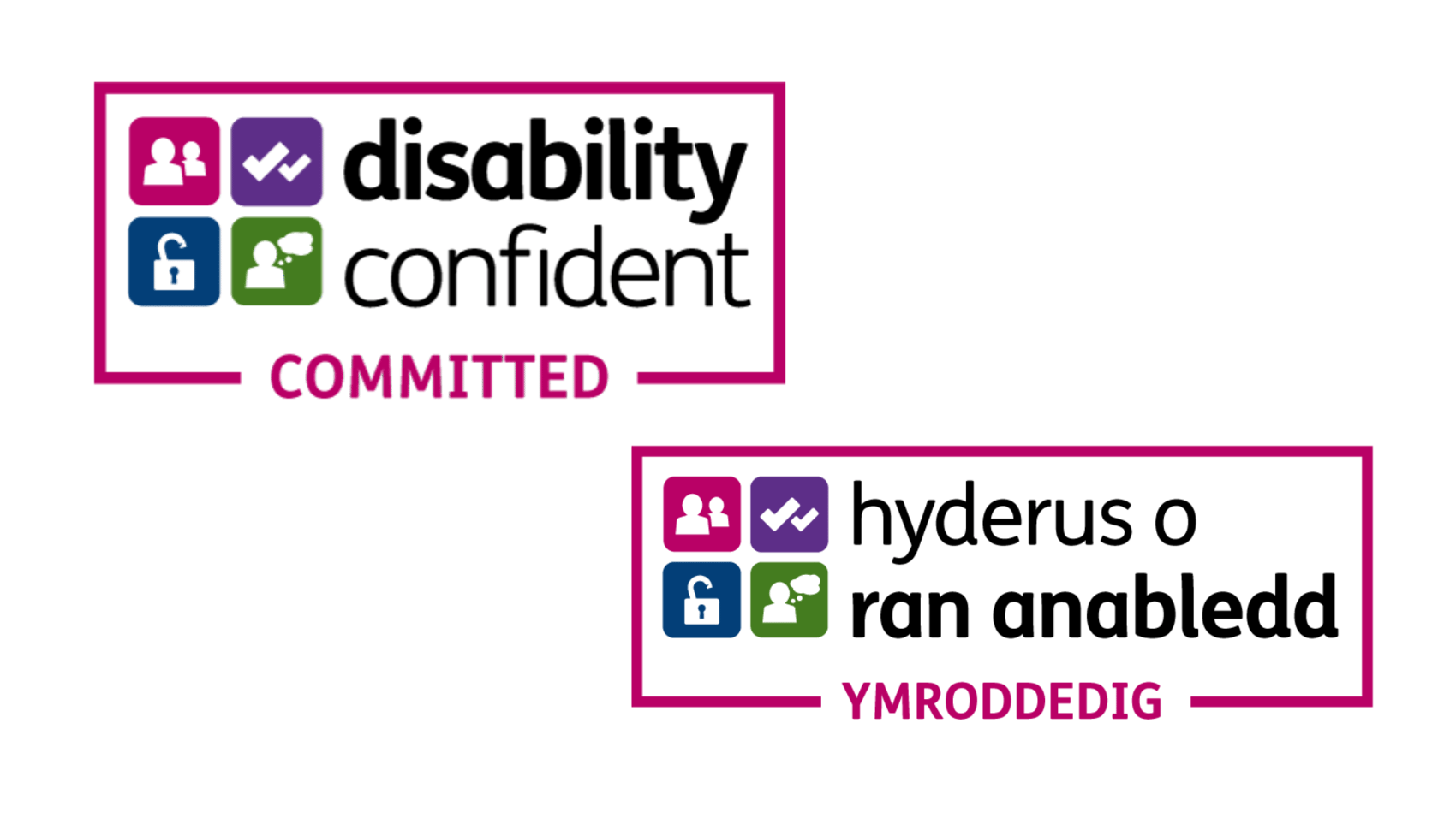 Disability Confident for Jobs Page Website