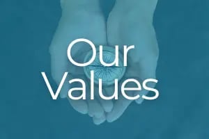TCHGroup_Values